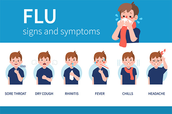 Screen-Shot-2019-02-05-at-2.49.22-PM copy